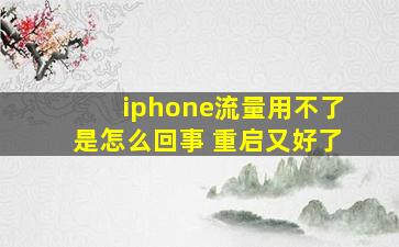 iphone流量用不了是怎么回事 重启又好了